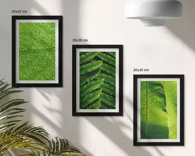 Tríptico de hojas tropicales enmarcado con primeros planos
