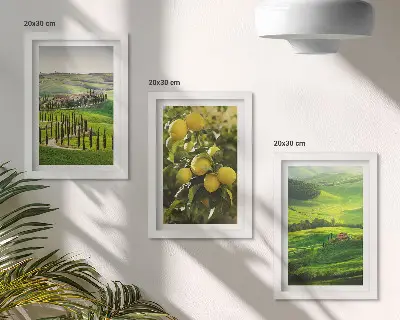 Juego de 3 cuadros decorativos paisajes italianos con limoneros y colinas verdes
