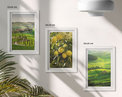 Juego de 3 cuadros decorativos Paisajes italianos con limoneros y verdes colinas.