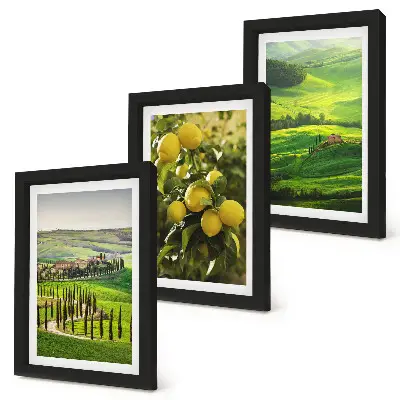 Juego de 3 cuadros decorativos paisajes italianos con limoneros y colinas verdes
