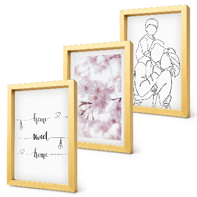 Juego de 3 cuadros decorativos Flores y familia en un diseño minimalista