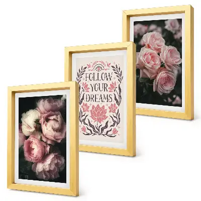 Juego de 3 cuadros decorativos rosas antiguas con inscripción sobre los sueños