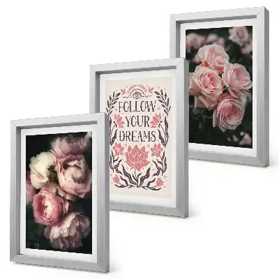 Juego de 3 cuadros decorativos rosas antiguas con inscripción sobre los sueños