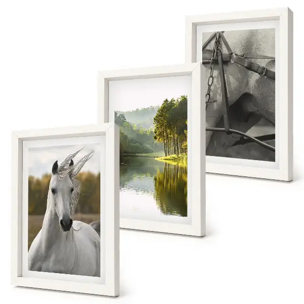 Juego de 3 cuadros decorativos caballos blancos en paisaje de río natural