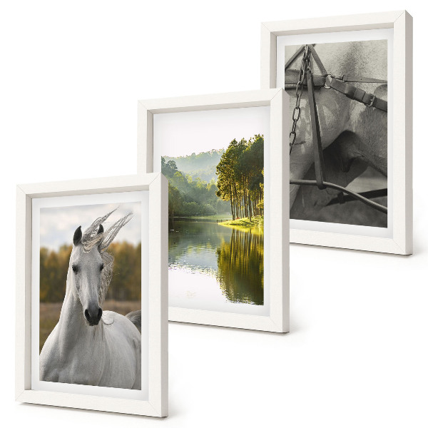 Juego de 3 cuadros decorativos Caballos blancos junto al paisaje natural del río