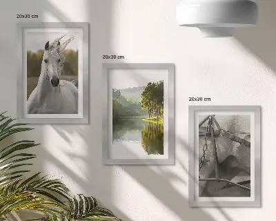 Juego de 3 cuadros decorativos caballos blancos en paisaje de río natural
