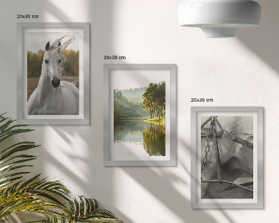 Juego de 3 cuadros decorativos Caballos blancos junto al paisaje natural del río