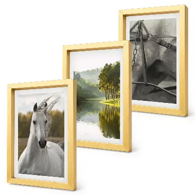 Juego de 3 cuadros decorativos caballos blancos en paisaje de río natural