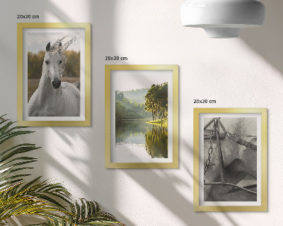 Juego de 3 cuadros decorativos Caballos blancos junto al paisaje natural del río
