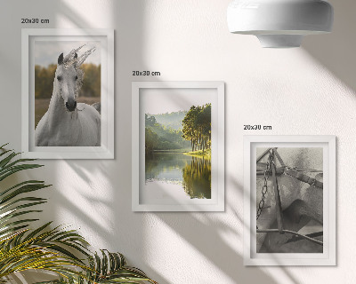 Juego de 3 cuadros decorativos Caballos blancos junto al paisaje natural del río