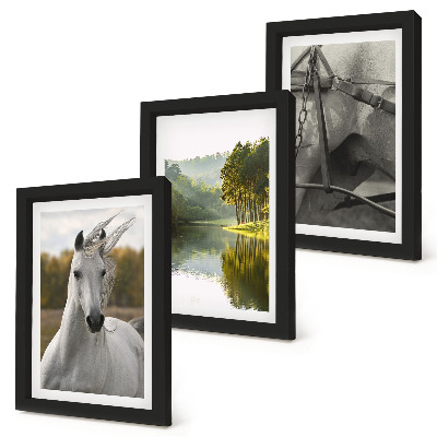 Juego de 3 cuadros decorativos Caballos blancos junto al paisaje natural del río