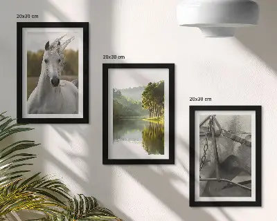 Juego de 3 cuadros decorativos caballos blancos en paisaje de río natural