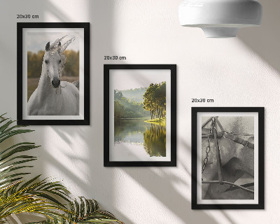 Juego de 3 cuadros decorativos Caballos blancos junto al paisaje natural del río