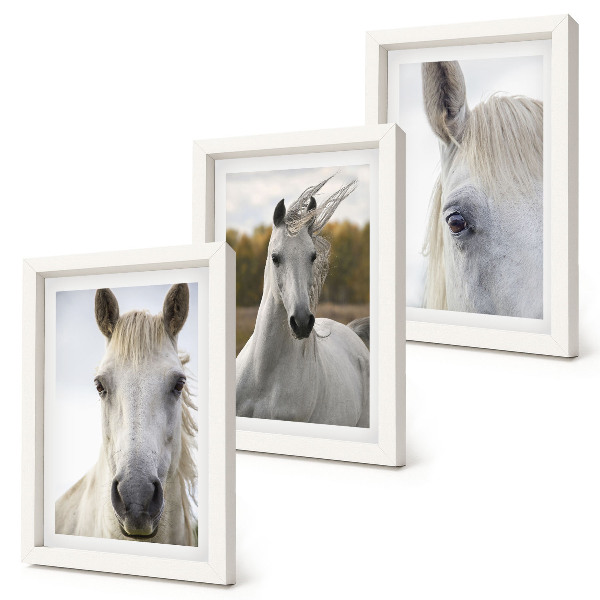 Tríptico enmarcado Caballos blancos en diversas poses sobre un fondo natural.