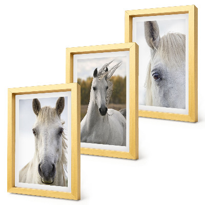 Tríptico enmarcado Caballos blancos en diversas poses sobre un fondo natural.