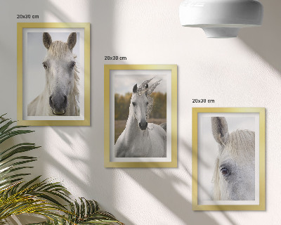 Tríptico enmarcado Caballos blancos en diversas poses sobre un fondo natural.