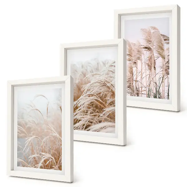 Juego de 3 cuadros decorativos con campos de hierba en tonos marrones y beige