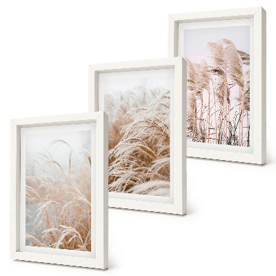 Juego de 3 cuadros decorativos Campos de hierba en delicados tonos marrones y beige.