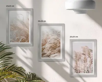Juego de 3 cuadros decorativos con campos de hierba en tonos marrones y beige