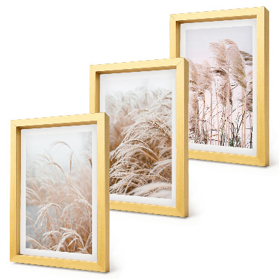 Juego de 3 cuadros decorativos Campos de hierba en delicados tonos marrones y beige.