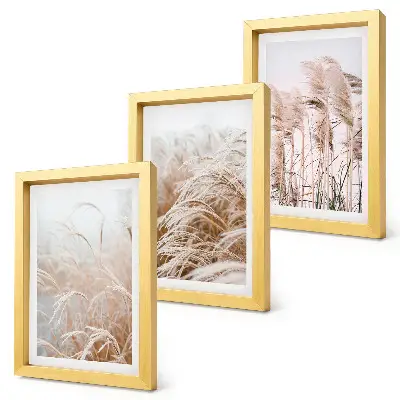 Juego de 3 cuadros decorativos con campos de hierba en tonos marrones y beige