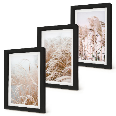Juego de 3 cuadros decorativos Campos de hierba en delicados tonos marrones y beige.