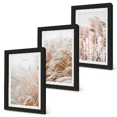 Juego de 3 cuadros decorativos con campos de hierba en tonos marrones y beige