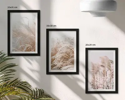 Juego de 3 cuadros decorativos con campos de hierba en tonos marrones y beige