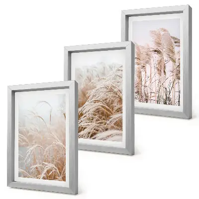 Juego de 3 cuadros decorativos con campos de hierba en tonos marrones y beige