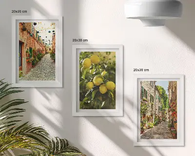 Tríptico enmarcado con calles encantadoras decoradas con flores y limones