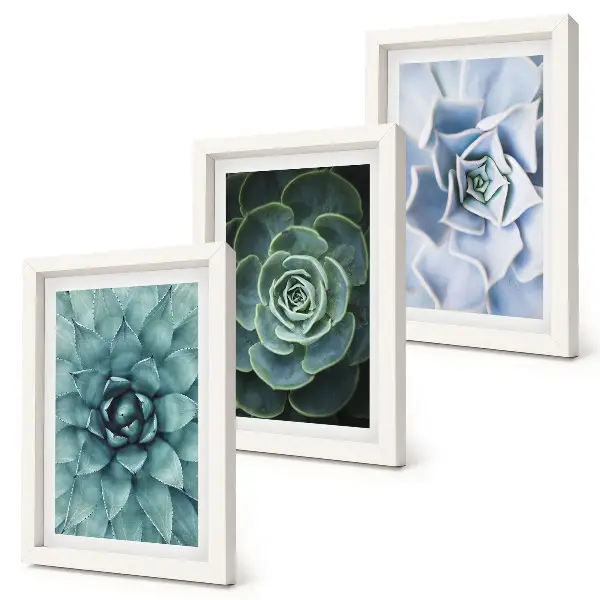 Juego de 3 cuadros decorativos con diseño de plantas suculentas en tonos verdes y turquesas