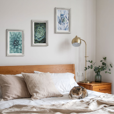 Juego de 3 cuadros decorativos Plantas suculentas en tonos verdes y turquesas.