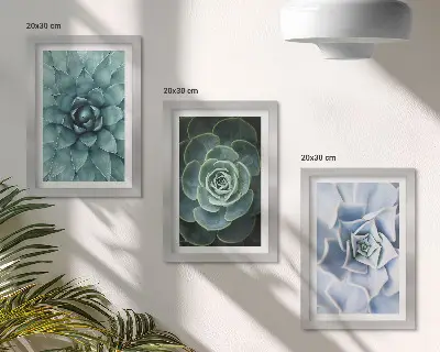 Juego de 3 cuadros decorativos con diseño de plantas suculentas en tonos verdes y turquesas