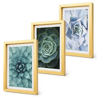 Juego de 3 cuadros decorativos con diseño de plantas suculentas en tonos verdes y turquesas