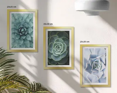 Juego de 3 cuadros decorativos con diseño de plantas suculentas en tonos verdes y turquesas