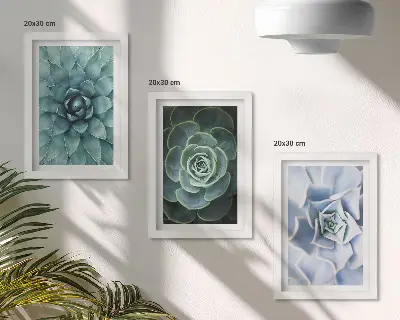 Juego de 3 cuadros decorativos con diseño de plantas suculentas en tonos verdes y turquesas