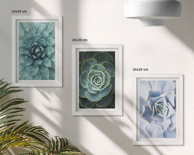 Juego de 3 cuadros decorativos Plantas suculentas en tonos verdes y turquesas.