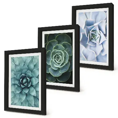 Juego de 3 cuadros decorativos con diseño de plantas suculentas en tonos verdes y turquesas