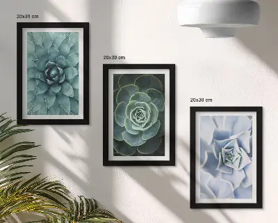 Juego de 3 cuadros decorativos con diseño de plantas suculentas en tonos verdes y turquesas