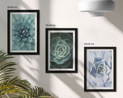 Juego de 3 cuadros decorativos Plantas suculentas en tonos verdes y turquesas.