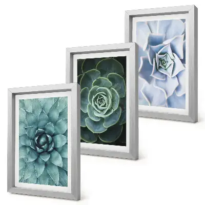 Juego de 3 cuadros decorativos con diseño de plantas suculentas en tonos verdes y turquesas