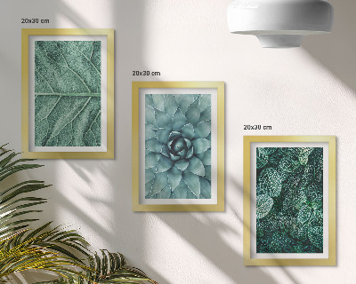 Tríptico enmarcado Primeros planos de plantas y hojas suculentas