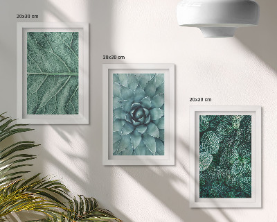 Tríptico enmarcado Primeros planos de plantas y hojas suculentas