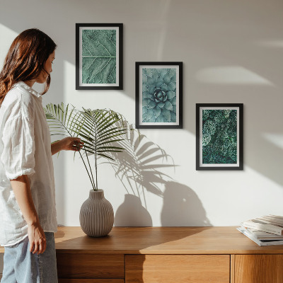 Tríptico enmarcado Primeros planos de plantas y hojas suculentas