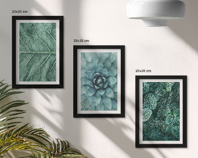 Tríptico enmarcado Primeros planos de plantas y hojas suculentas