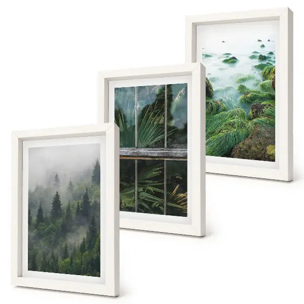 Juego de 3 cuadros decorativos un bosque con niebla, la orilla de un río y un invernadero con plantas