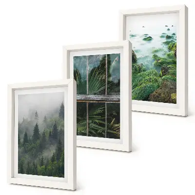 Juego de 3 cuadros decorativos un bosque con niebla, la orilla de un río y un invernadero con plantas