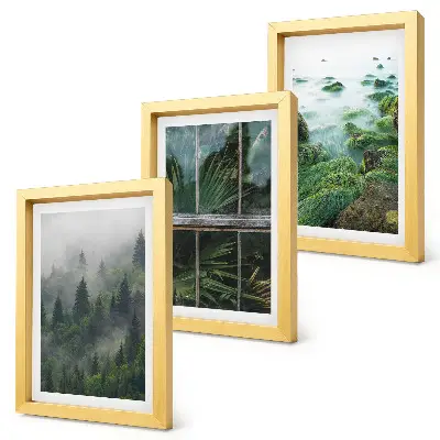 Juego de 3 cuadros decorativos un bosque con niebla, la orilla de un río y un invernadero con plantas