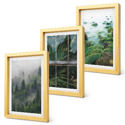 Juego de 3 cuadros decorativos Un bosque envuelto en la niebla, la orilla de un río y un invernadero con plantas.
