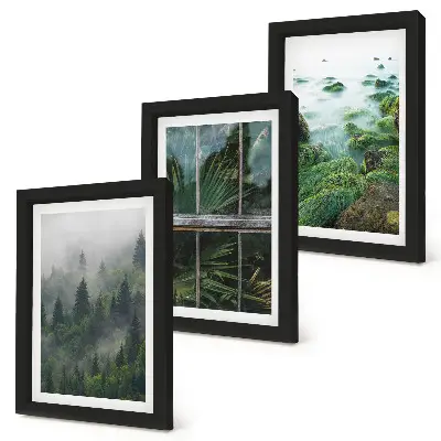 Juego de 3 cuadros decorativos un bosque con niebla, la orilla de un río y un invernadero con plantas